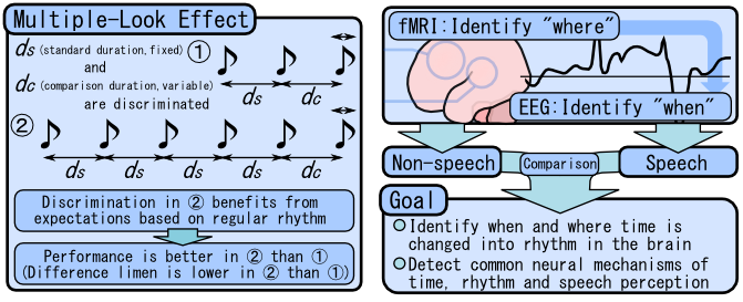When time changes into rhythm: Potential neural mechanisms that also involve speech perception